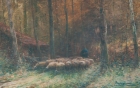 Les moutons dans le sous bois